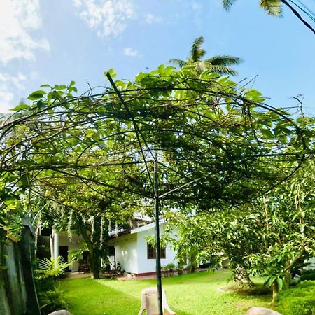 Sanithu Homestay And Villa Галле Экстерьер фото
